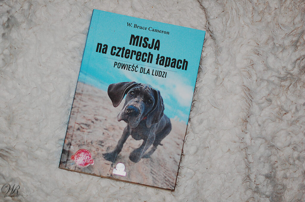 Misja na czterech łapach