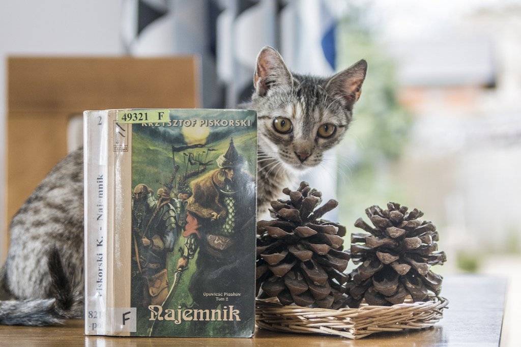 Najemnik powieść fantasy polskiego autora Krzysztof Piskorski