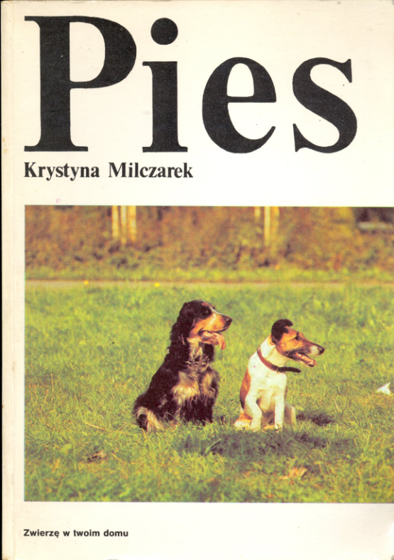 Pies