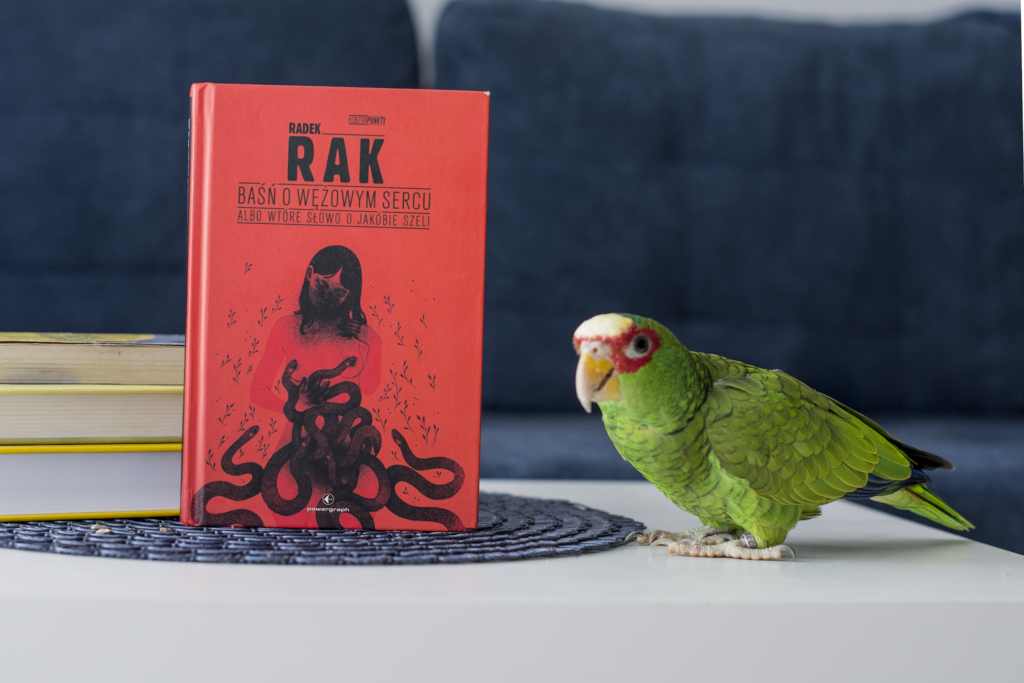Baśń o wężowym sercu Radka Raka stoi na stole, a obok niej znajduje się papuga. To nagradzana powieść fantastyczna