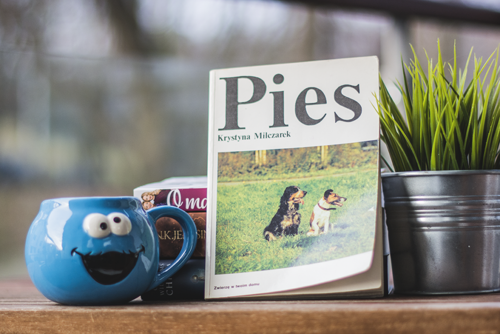 Pies