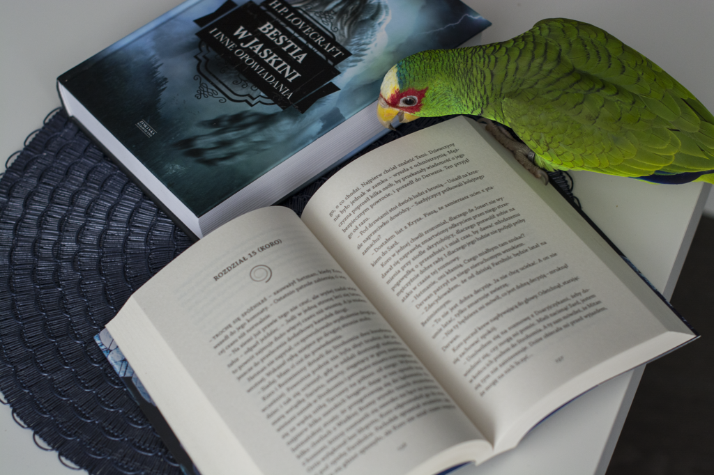 Dom Między Chmurami - recenzja polskiego debiutu high fantasy