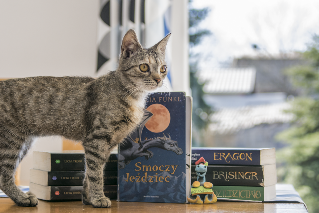 Smoczy jeździec edukacyjna powieść fantasy ze smokami dla młodszych czytelników recenzja