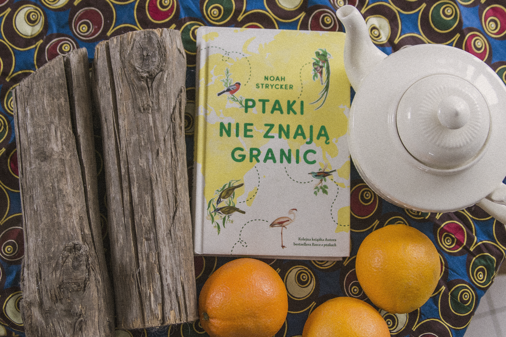 Ptaki nie znają granic książka leży na blacie wśród ozdób