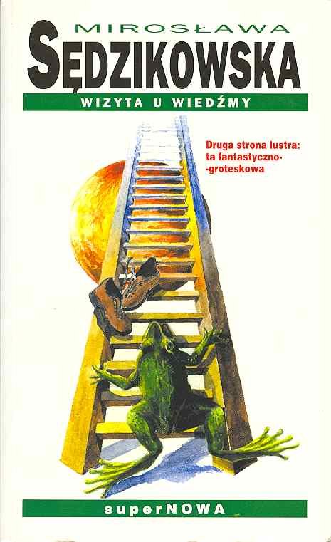 Gandziolatki. Wizyta u wiedźmy Mirosława Sędzikowska - okładka jednej strony książki Wizyta i wiedźmy, która przedstawia żabę idącą po drabinie - ilustracja do recenzji