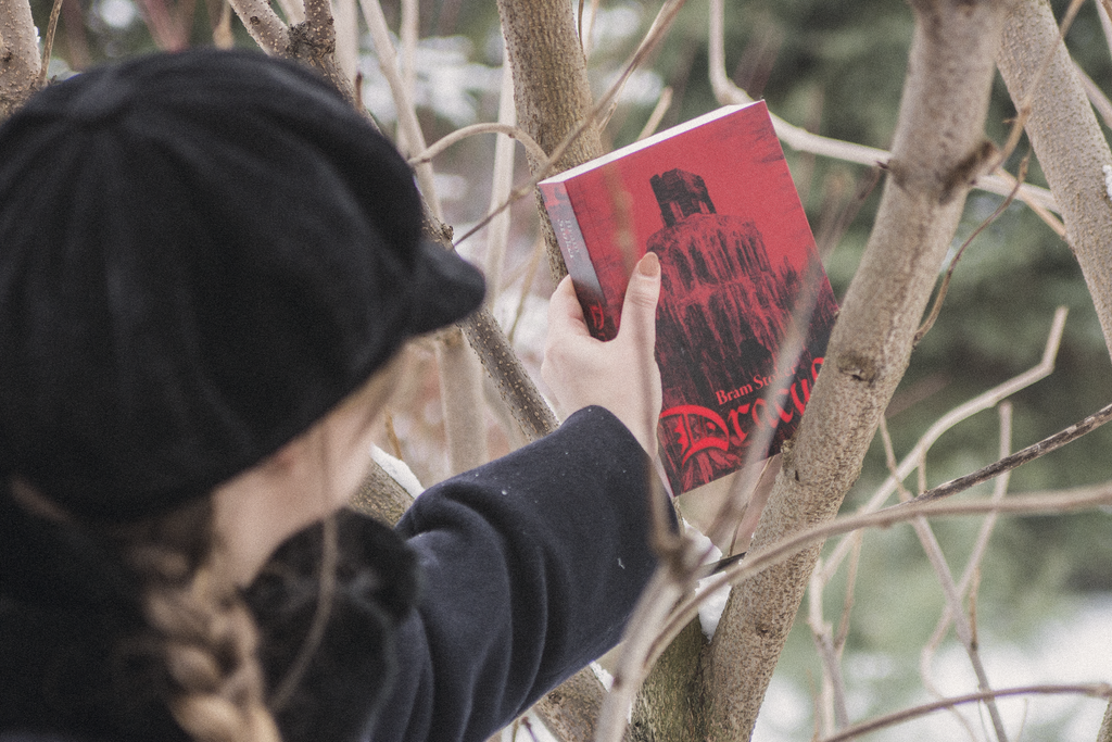Dracula jest trzymany przez autorkę recenzji zimą, wśród drzew