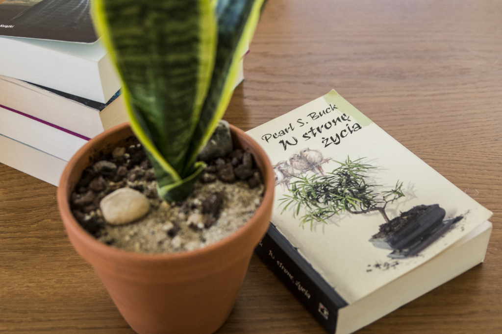 W stronę życia Pearl S Buck - książka lezy na blacie, po lewej kwiatek w doniczce, w tle książki - ilustracja do recenzji