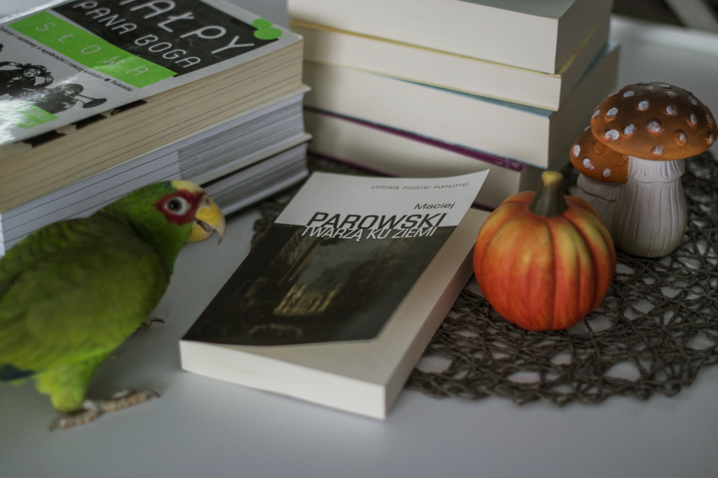 Twarzą ku ziemi Macieja Parowskiego - książka lezy na blacie w otoczeniu książek i ozdób, po lewej żywa zielona papuga - ilustracja do recenzji fantastyki socjologicznej