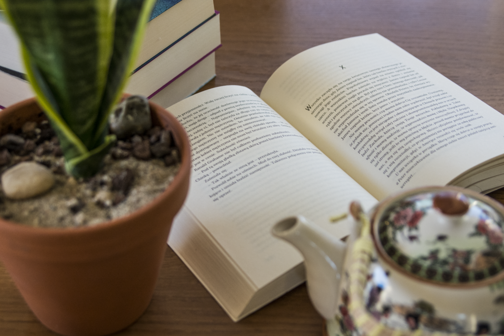 W stronę życia Pearl S Buck - książka leży otwarta na blacie, po lewej kwiatek w doniczce, w tle książki - ilustracja do recenzji
