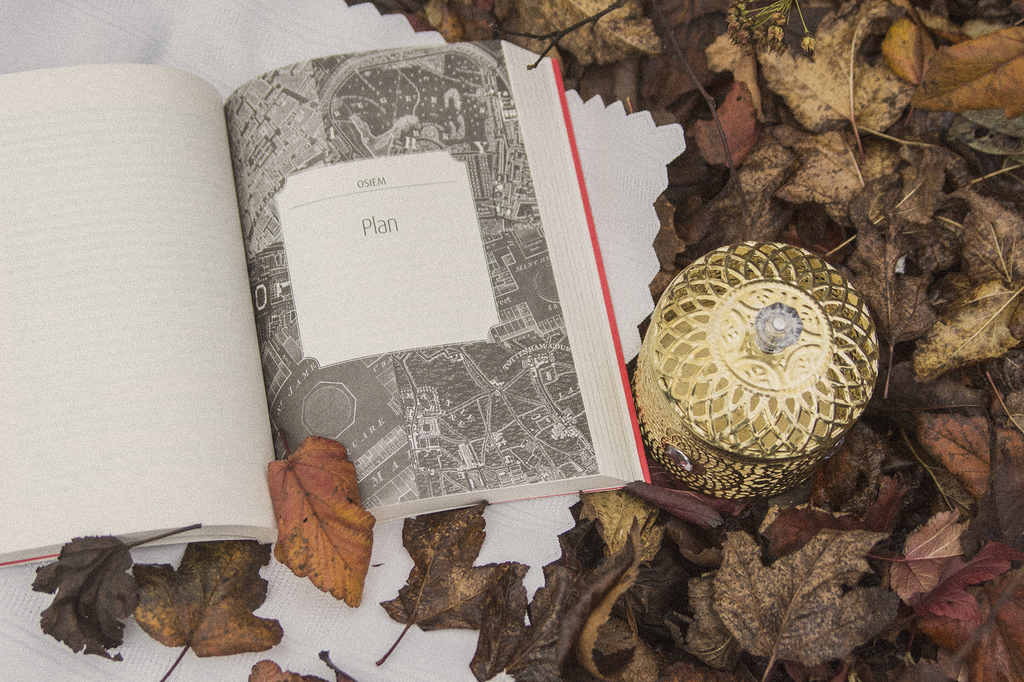 Mroczniejszy odcień magii V. E. Schwab - otwarta książka leży wśród jesiennych liści