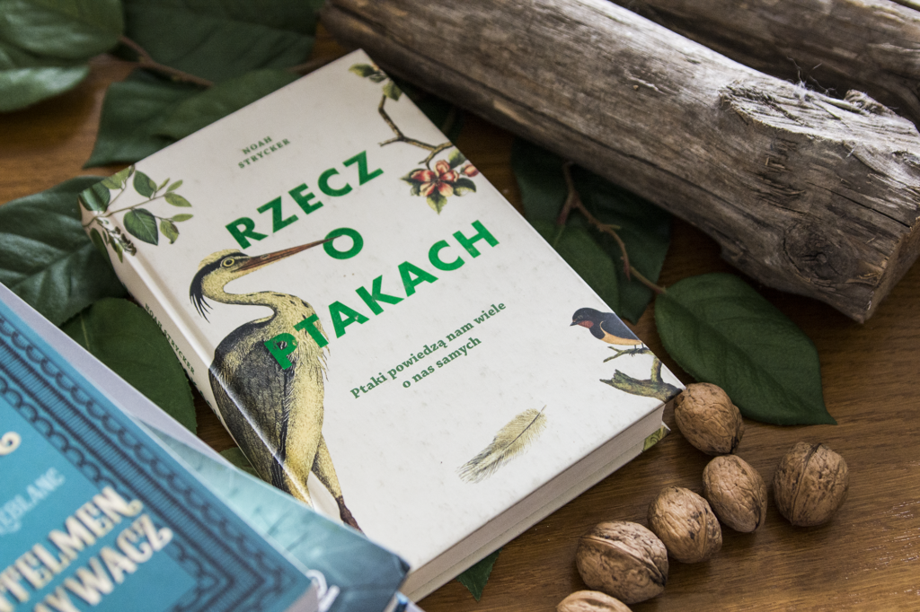 Rzecz o ptakach - książka leży na blacie wśród ozdób