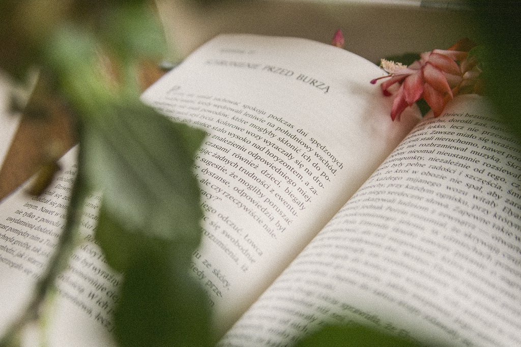 Oko świata Jordana - otwarta książka leży na blacie