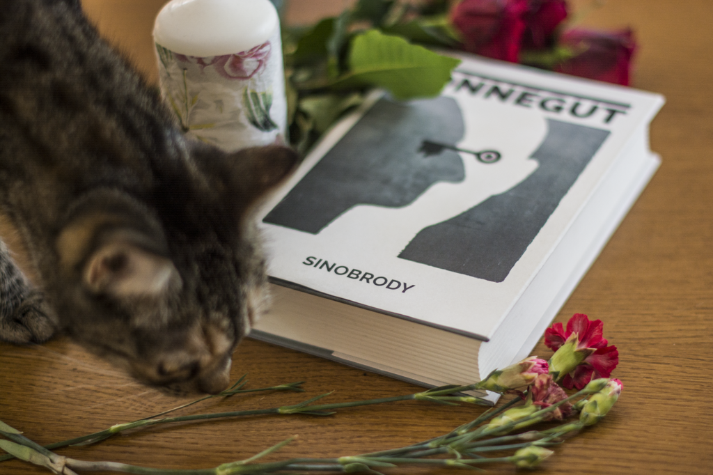 Sinobrody Kurt Vonnegut - książka leży na blacie, po lewej kotek