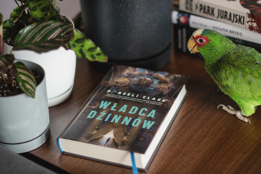 Władca dżinnów książka leży na blacie