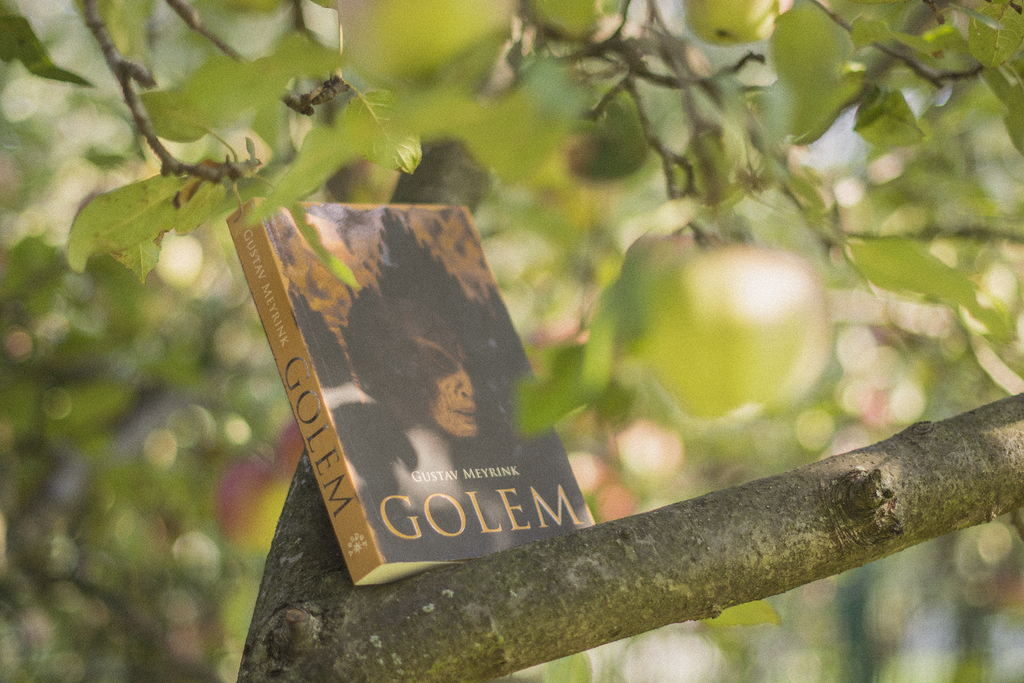 Golem - książka stoi na drzewie