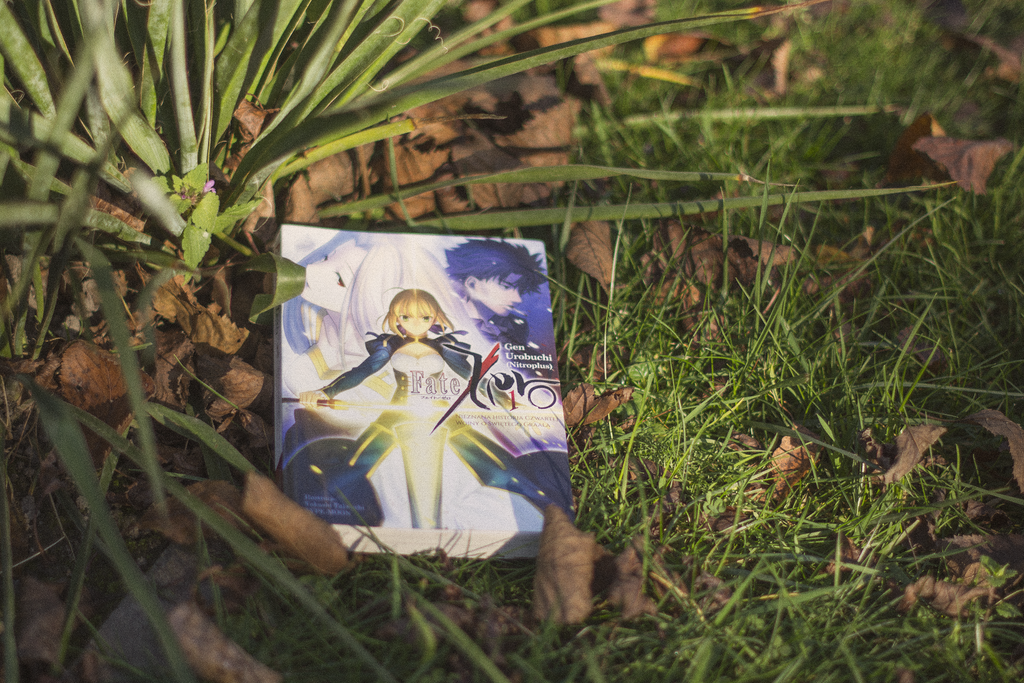 Fate/Zero light novelka leży na ziemi