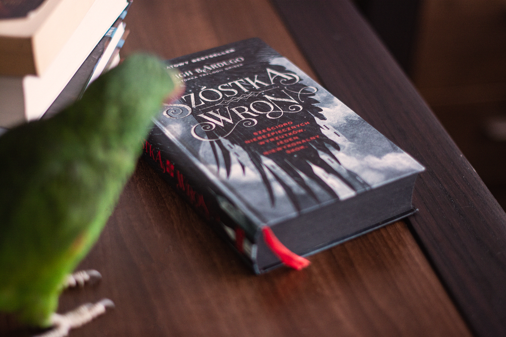 Szóstka wron książka leży na blacie